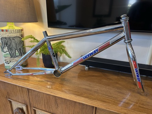 Skyway frame and forks - frame, made